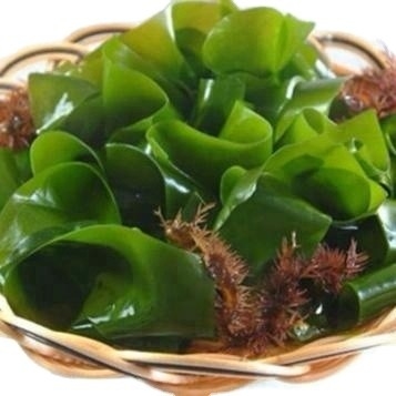 Поставка вкусная еда Чука морские водоросли Сушеный вакаме Подходит для нормального вкусного опыта
