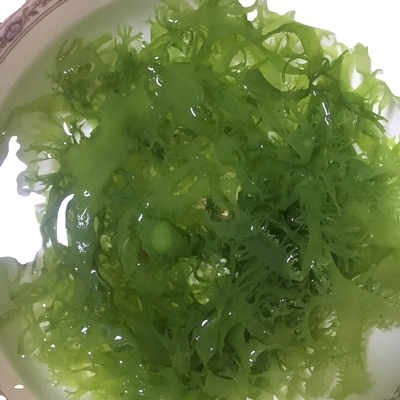 Замороженные сушеные морские водоросли Тосака в красно-зеленом стиле Ароматизированные Ароматизированные